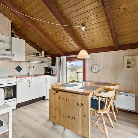 بيت للعطل 435-hvide-sande-granvej-51 *